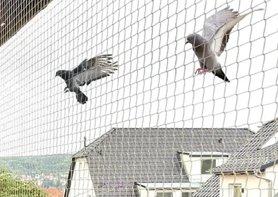 Bird net installed on residential terrace